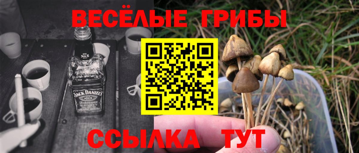 где можно купить наркотик  Псилоцибиновые грибы прущие грибы  Чистополь  Вход с VPN  Псилоцибиновые грибы Magic Shrooms 